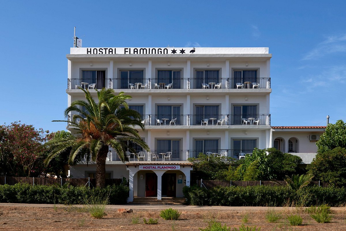 Innovación en alojamientos: sostenibilidad y experiencia única