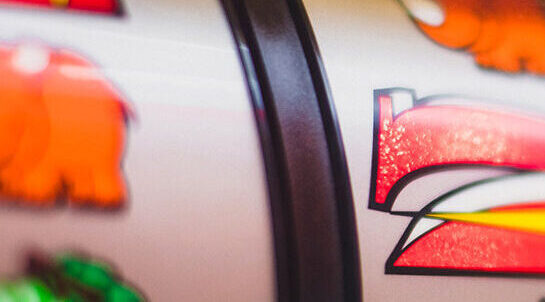 Recreación responsable: una visión hacia el futuro sostenible